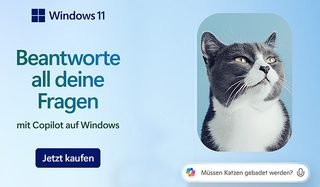 Windows 11 - Beantworte all deine Fragen