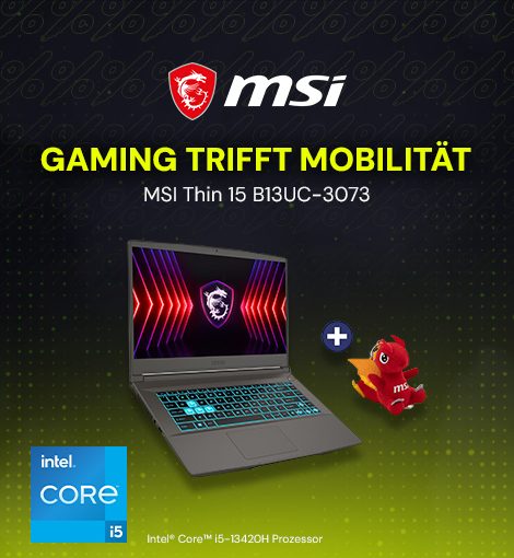 MSI Thin 15 B13UC-3073