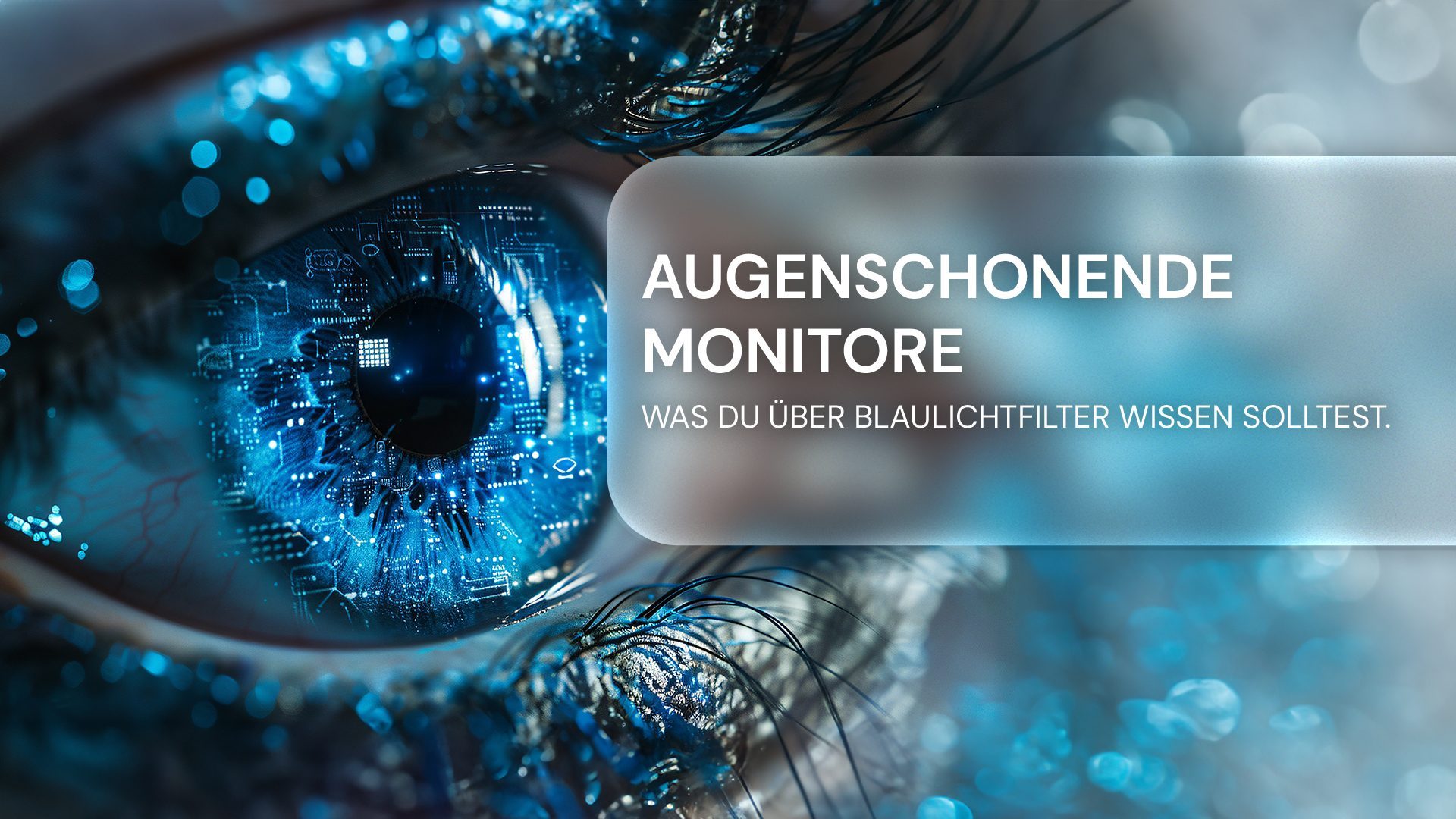 Blaulichtfilter für Monitore: überflüssig oder augenschonend?